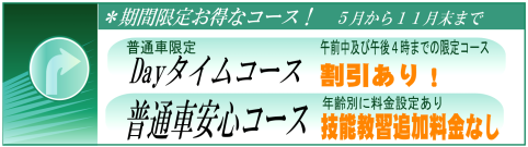 期間限定のお得なコース